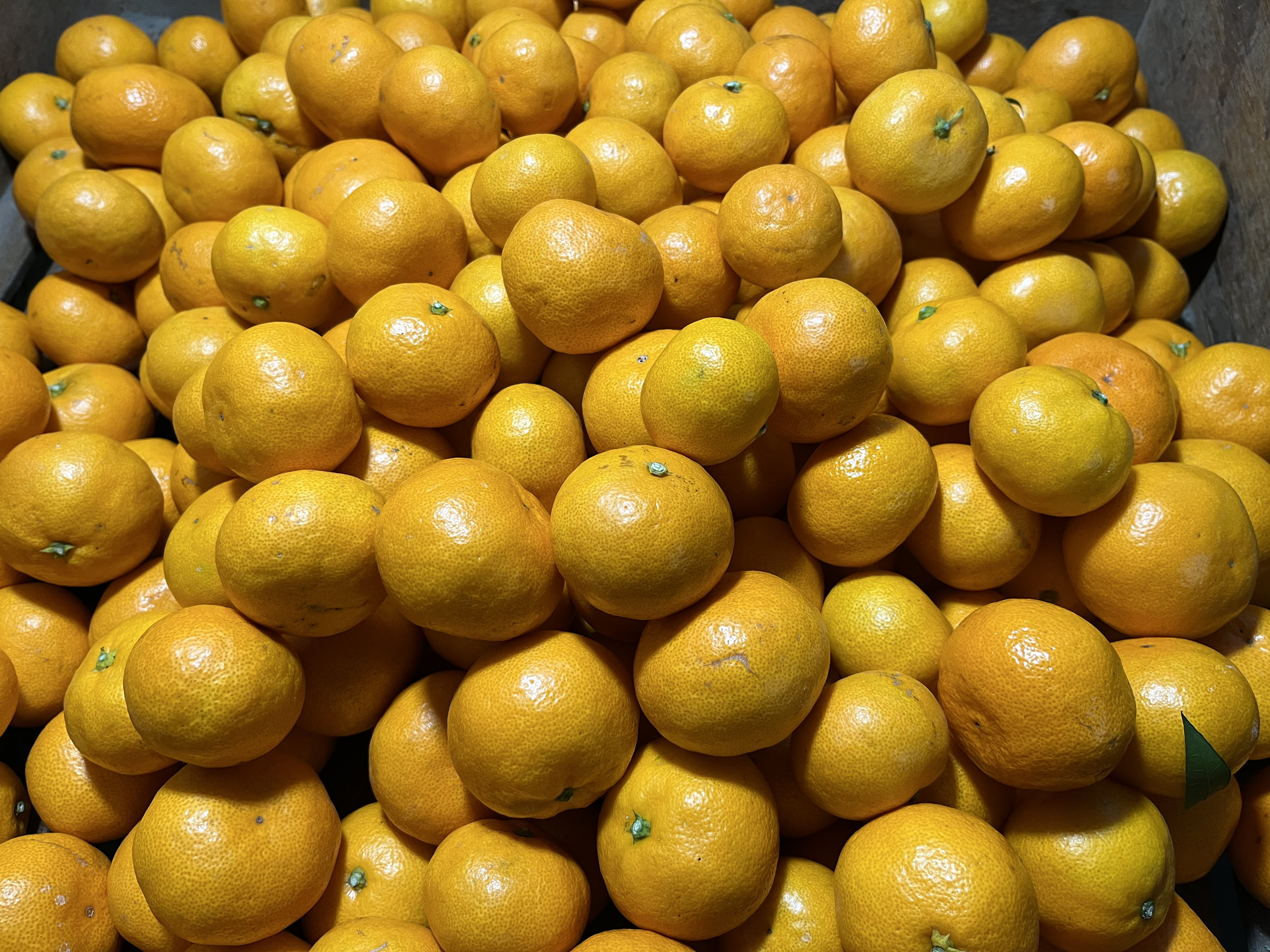 包近のみかん 3kg　【傷あり】